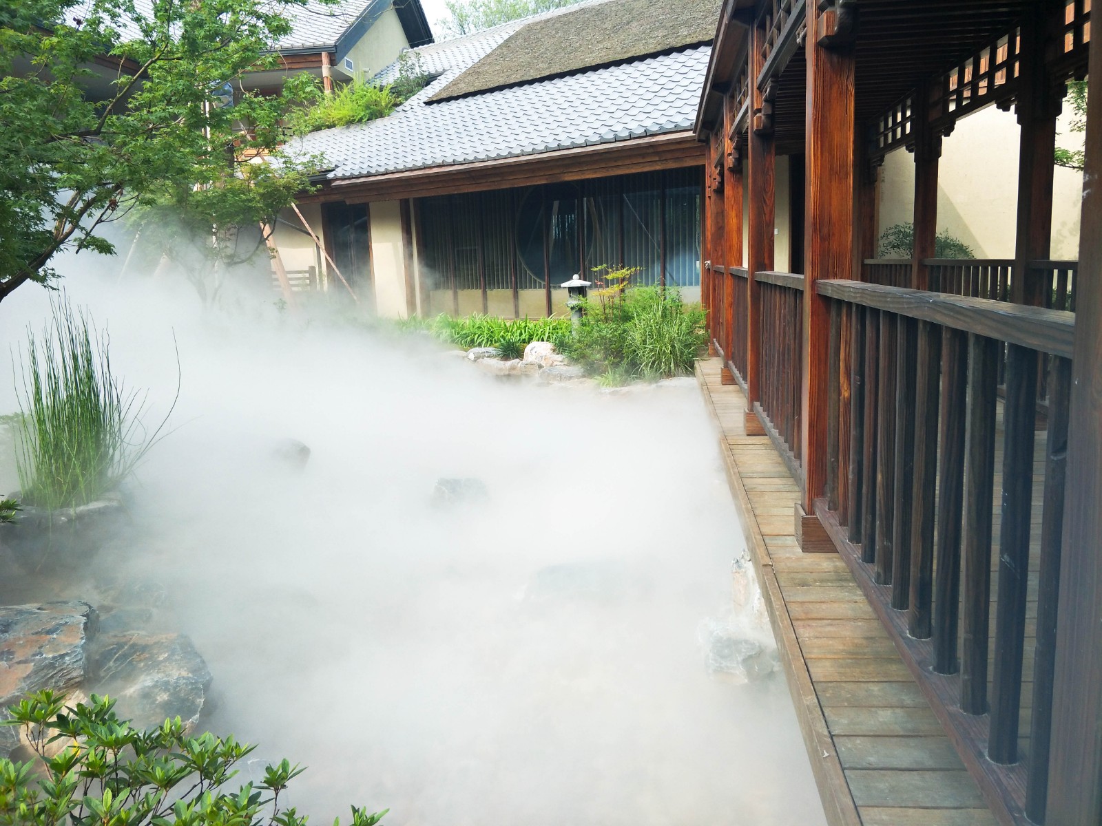 åå·å·é¾æ¯è§éæ¸©ç³»ç»
